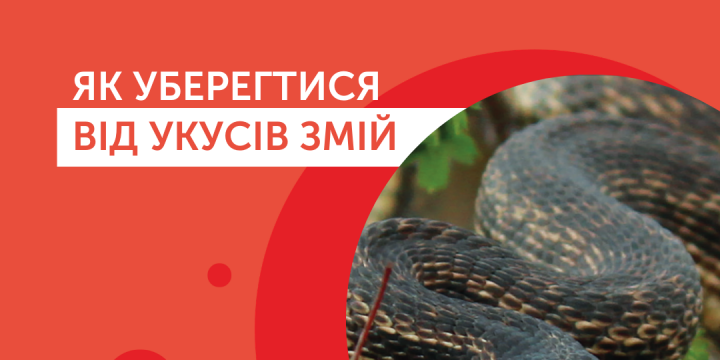 Як уберегтися від укусів змій